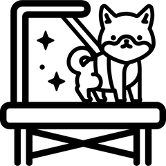 Įranga ir priemonės šunų kirpykloms - Beauty Kit