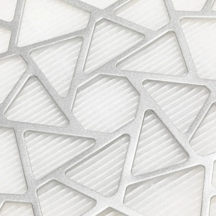 Dulkių surinkėjas MOMO P10 PRO