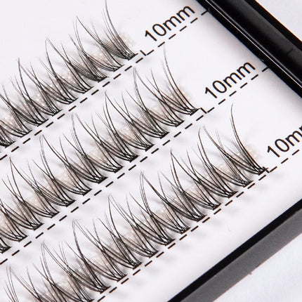 Blakstienų kuokšteliai kregždutės C 0.07 MIX