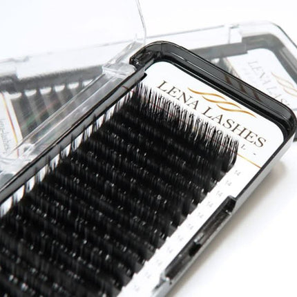 Lena Lashes Volume M 0.10 MIX juodos blakstienos