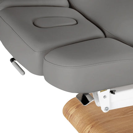 Electric SPA Couch SILLON RELAX, grey, light base - photo 9