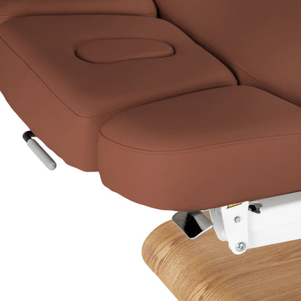 Electric SPA Couch SILLON RELAX, brown, light base - photo 9