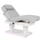 HABYS ETERNA Electric Beauty Bed, 4 Motors, Grey