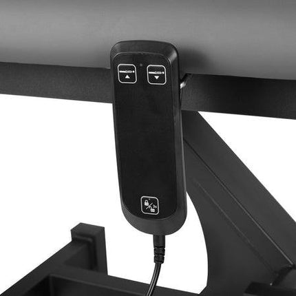 Stacionarus masažo/reabilitacijos stalas Fortis 4 ERGO Gray