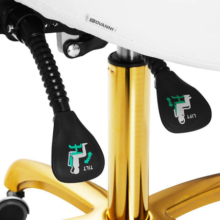 GIOVANNI meistro kėdė 1004 GOLD WHITE, balta - Beauty Kit