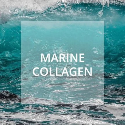 Intensyviai drėkinantis veido kremas su jūriniu kolagenu ir hialurono rūgštimi DR KRAUT ITALY, 50 ml - Beauty Kit