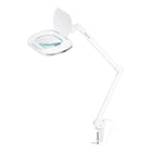 LED magnifying lamp ELEGANTE 6030 with clamp, white