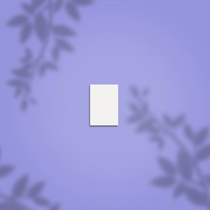 STALEKS PRO Mini nagų poliruoklis  Expert 51, stačiakampio forma, #100/180, 50vnt