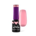 PERFECT NAILS HEMA FREE gelinis lakas HF023 DUSTY ROSE, 4 ml. - Beauty Kit
