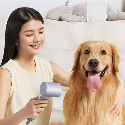 Plaukų džiovintuvas Coshare HD20E SuperFlow SE, rožinis - Beauty Kit