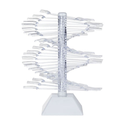 Tipsų paletė SQUARE ant stovo, skaidrios spalvos WZ23, 30 vnt. - Beauty Kit